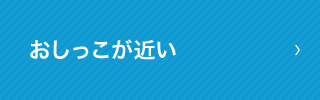 おしっこが近い